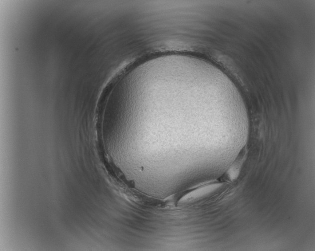 X0000067470395200604281859