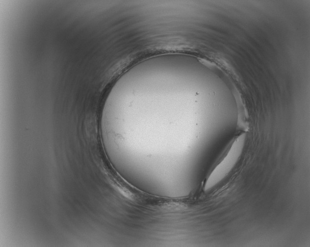 X0000067470397200604281859