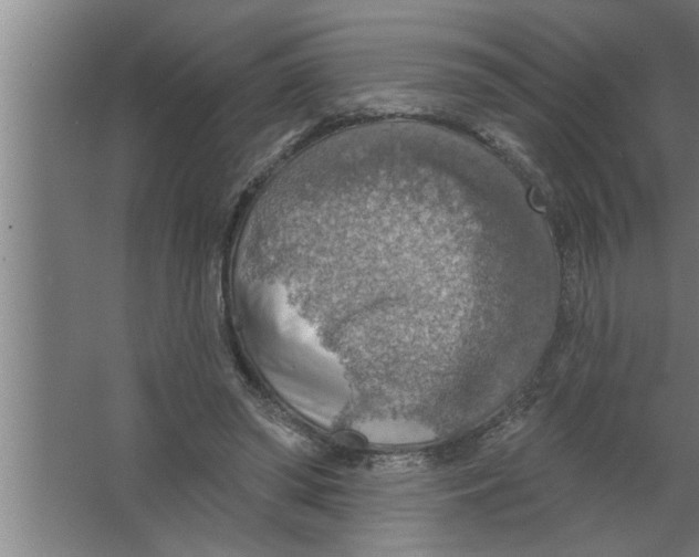 X0000067470398200604281859