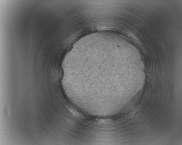 X0000067470401200604281859