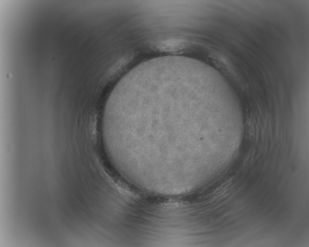 X0000067470404200604281859