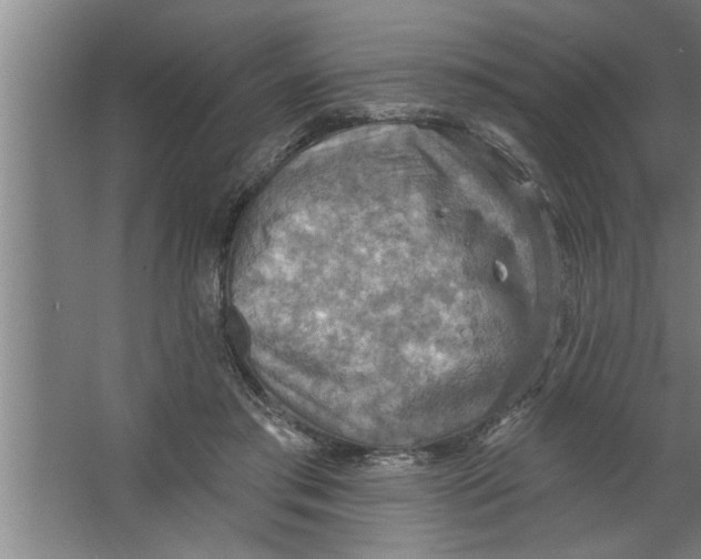 X0000067470405200604281859