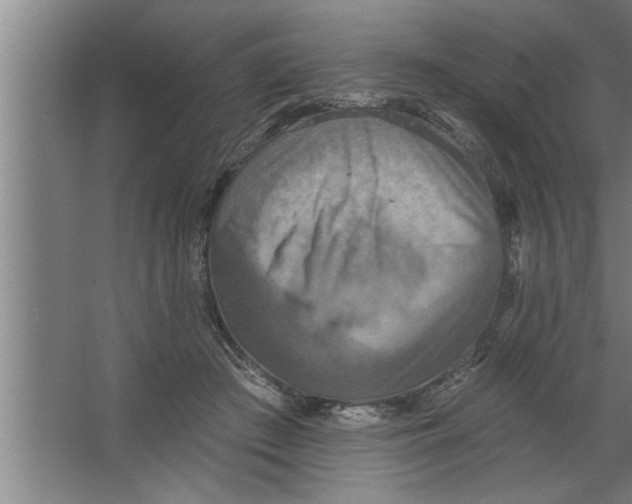 X0000067470409200604281859