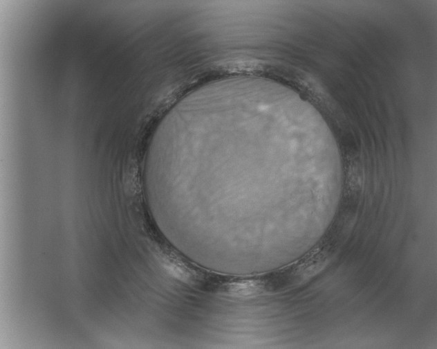 X0000067470411200604281859