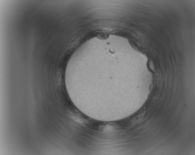 X0000067470412200604281859