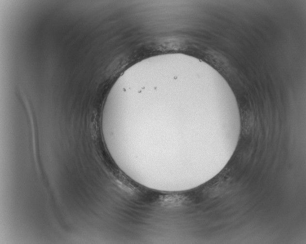 X0000067470414200604281859