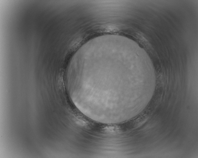 X0000067470415200604281859