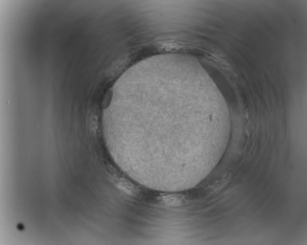 X0000067470417200604281859