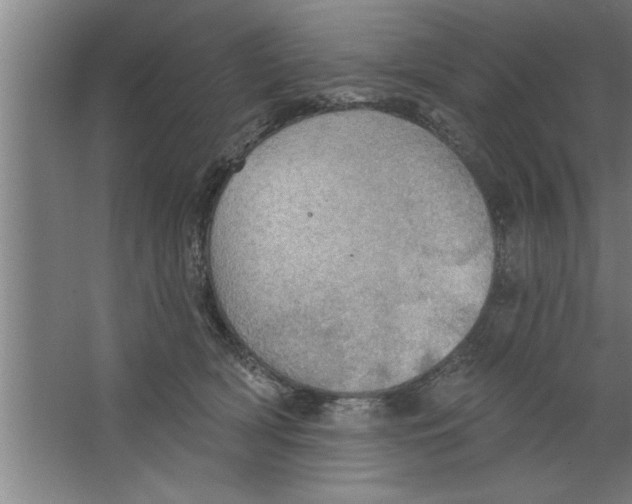 X0000067470418200604281859