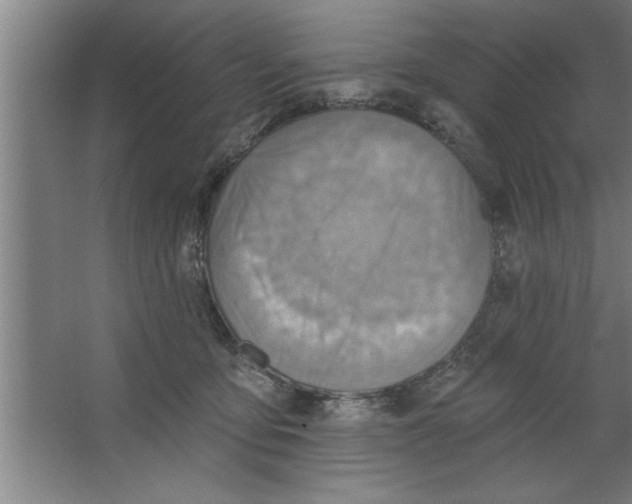 X0000067470419200604281859