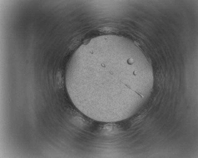 X0000067470420200604281859