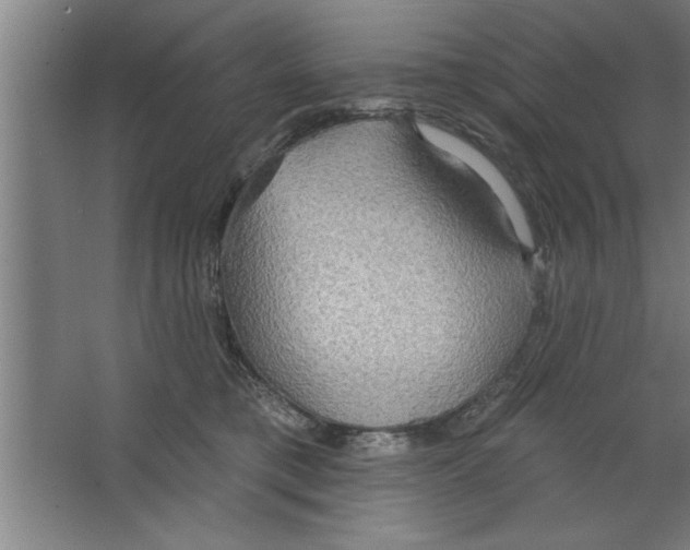 X0000067470421200604281859