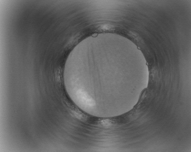 X0000067470423200604281859