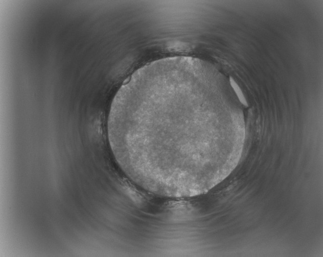 X0000067470424200604281859