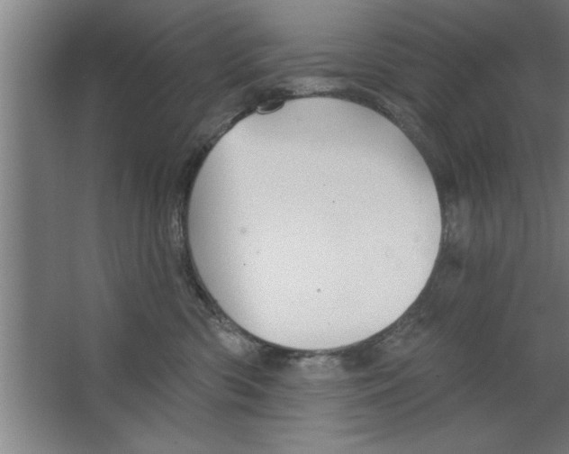 X0000067470426200604281859