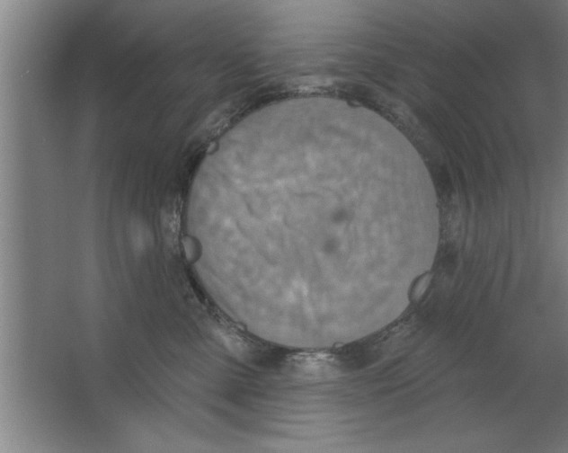 X0000067470427200604281859