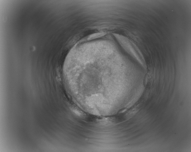 X0000067470430200604281859