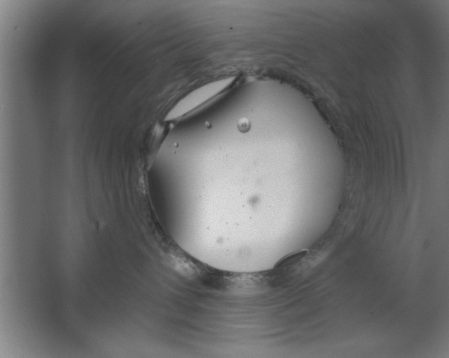 X0000067470432200604281859