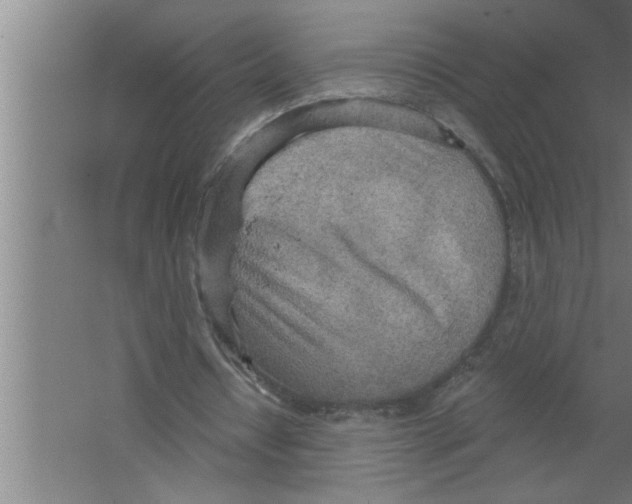 X0000067470434200604281858