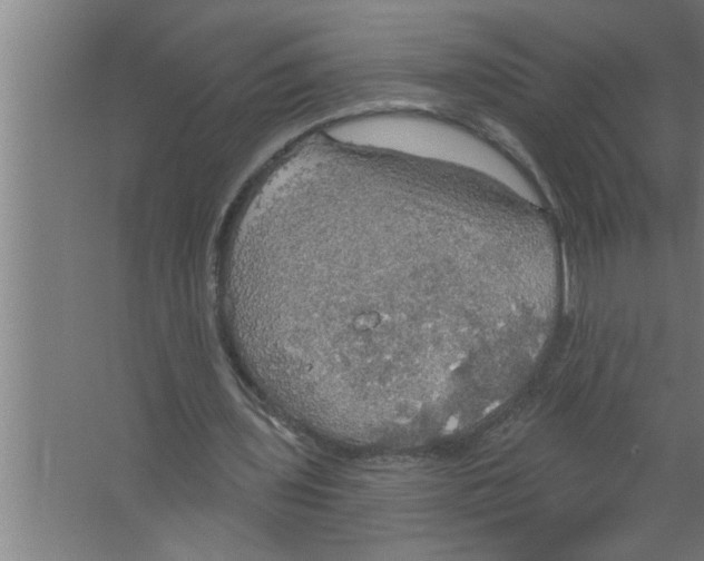 X0000067470435200604281858