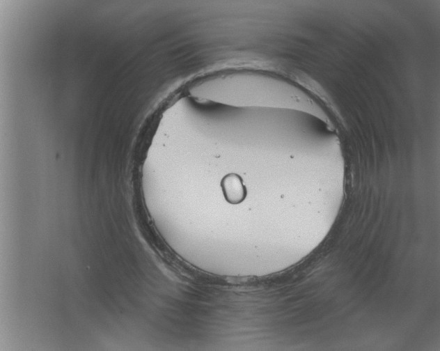 X0000067470436200604281858