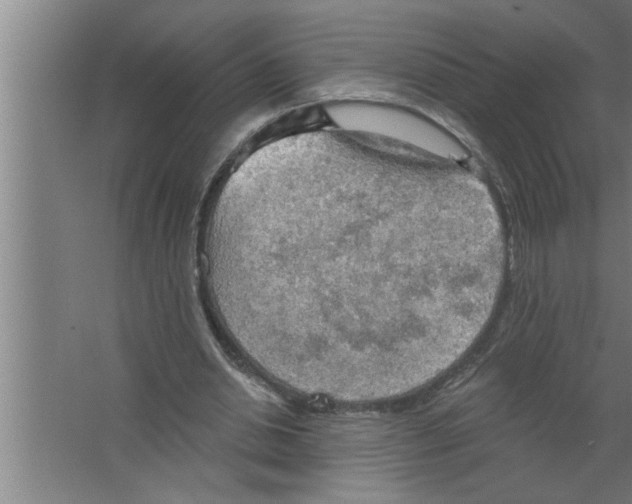 X0000067470438200604281858