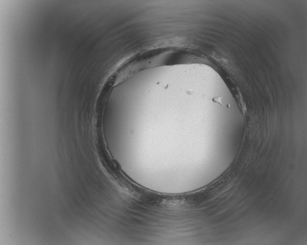 X0000067470440200604281858