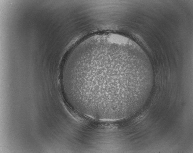 X0000067470443200604281858