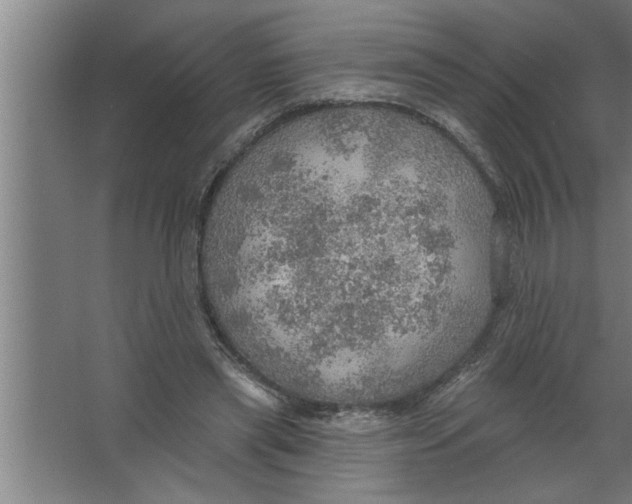 X0000067470445200604281858