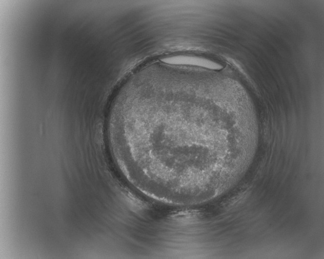 X0000067470447200604281858