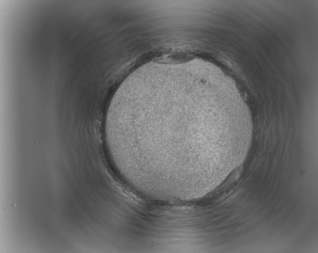 X0000067470450200604281858