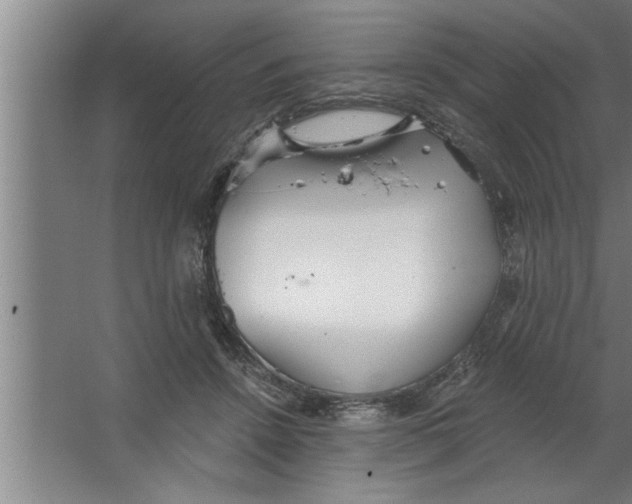 X0000067470456200604281858