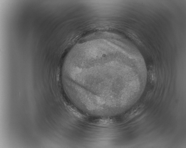 X0000067470458200604281858