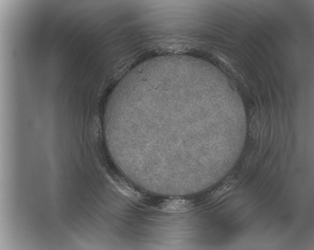 X0000067470459200604281858