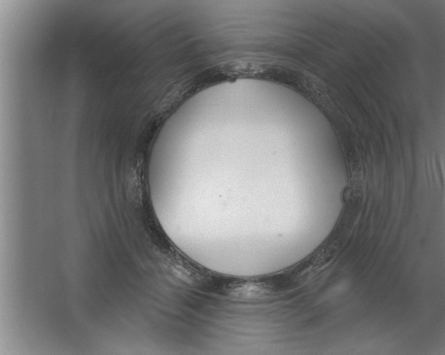 X0000067470460200604281858