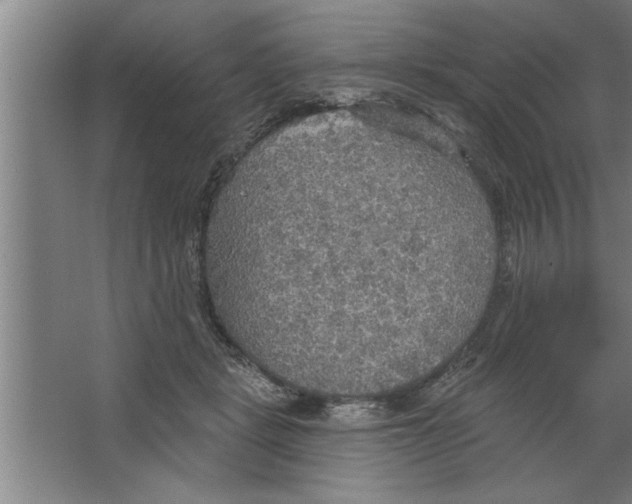 X0000067470461200604281858