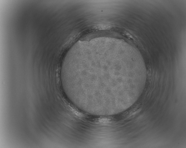 X0000067470462200604281858