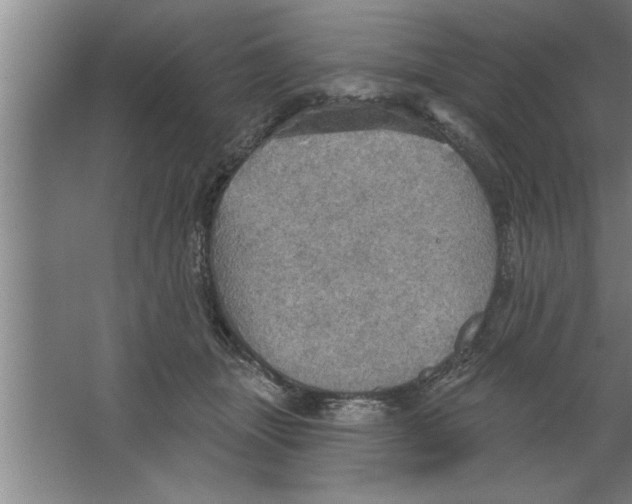 X0000067470463200604281858