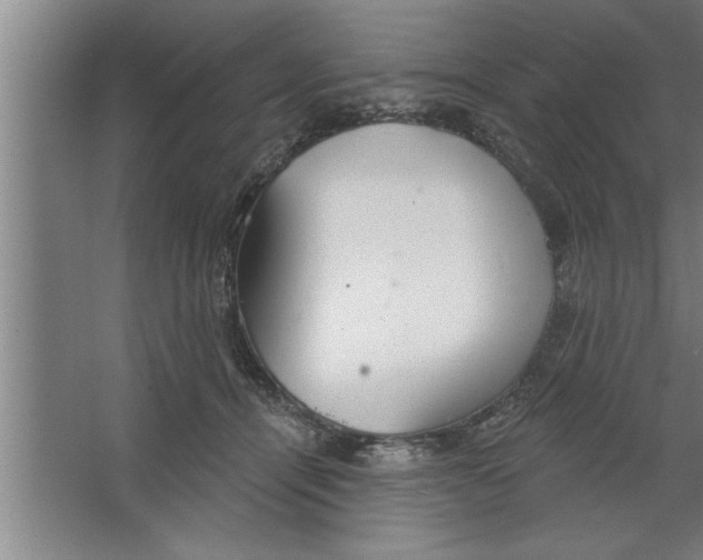 X0000067470464200604281858