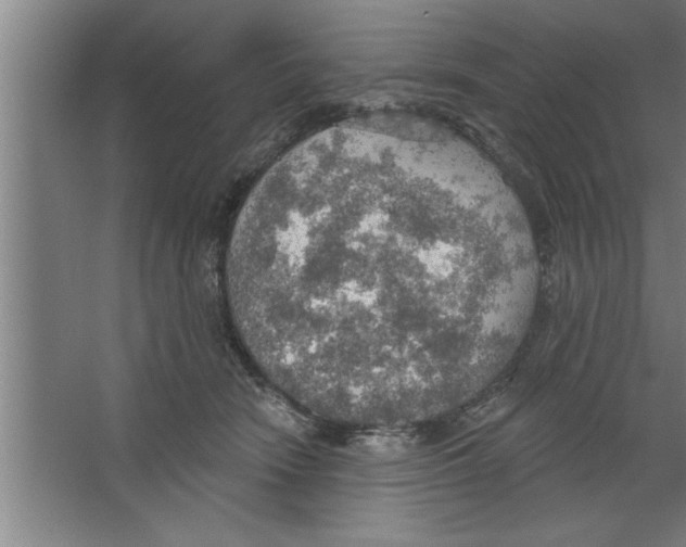 X0000067470466200604281858