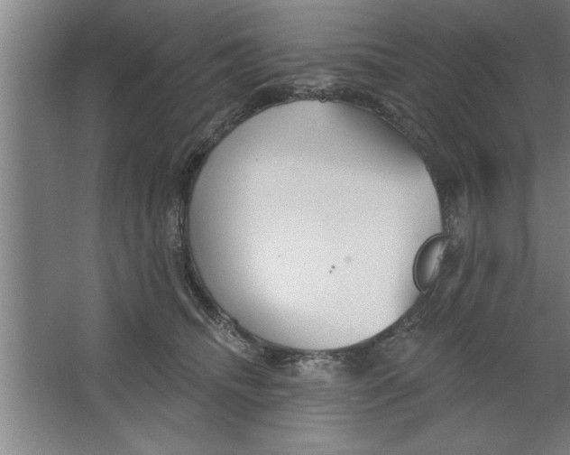 X0000067470468200604281859