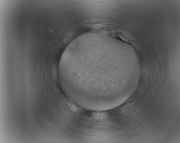 X0000067470469200604281859