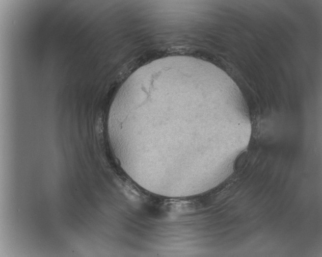 X0000067470472200604281859