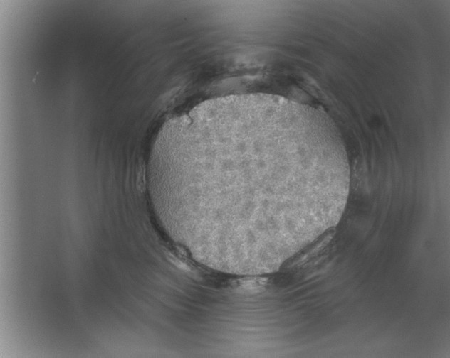 X0000067470474200604281859