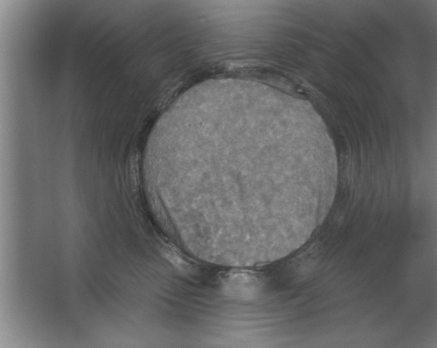 X0000067470475200604281859