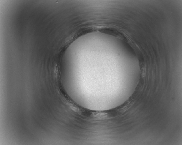 X0000067470476200604281859