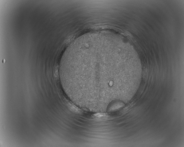 X0000067470477200604281859