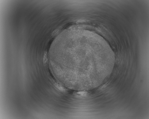 X0000067470478200604281859