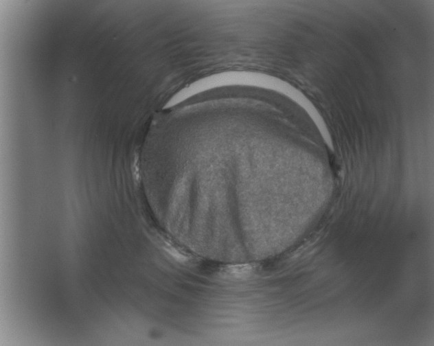 X0000067470479200604281859