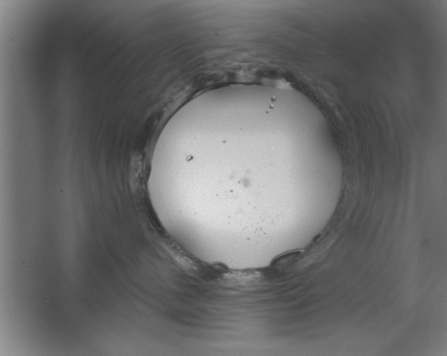 X0000067470480200604281859